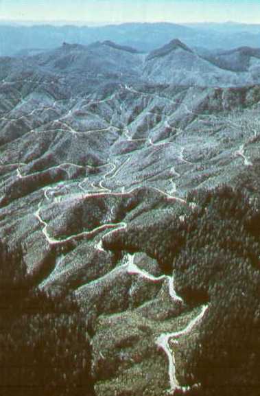 400,000 miles of logging roads