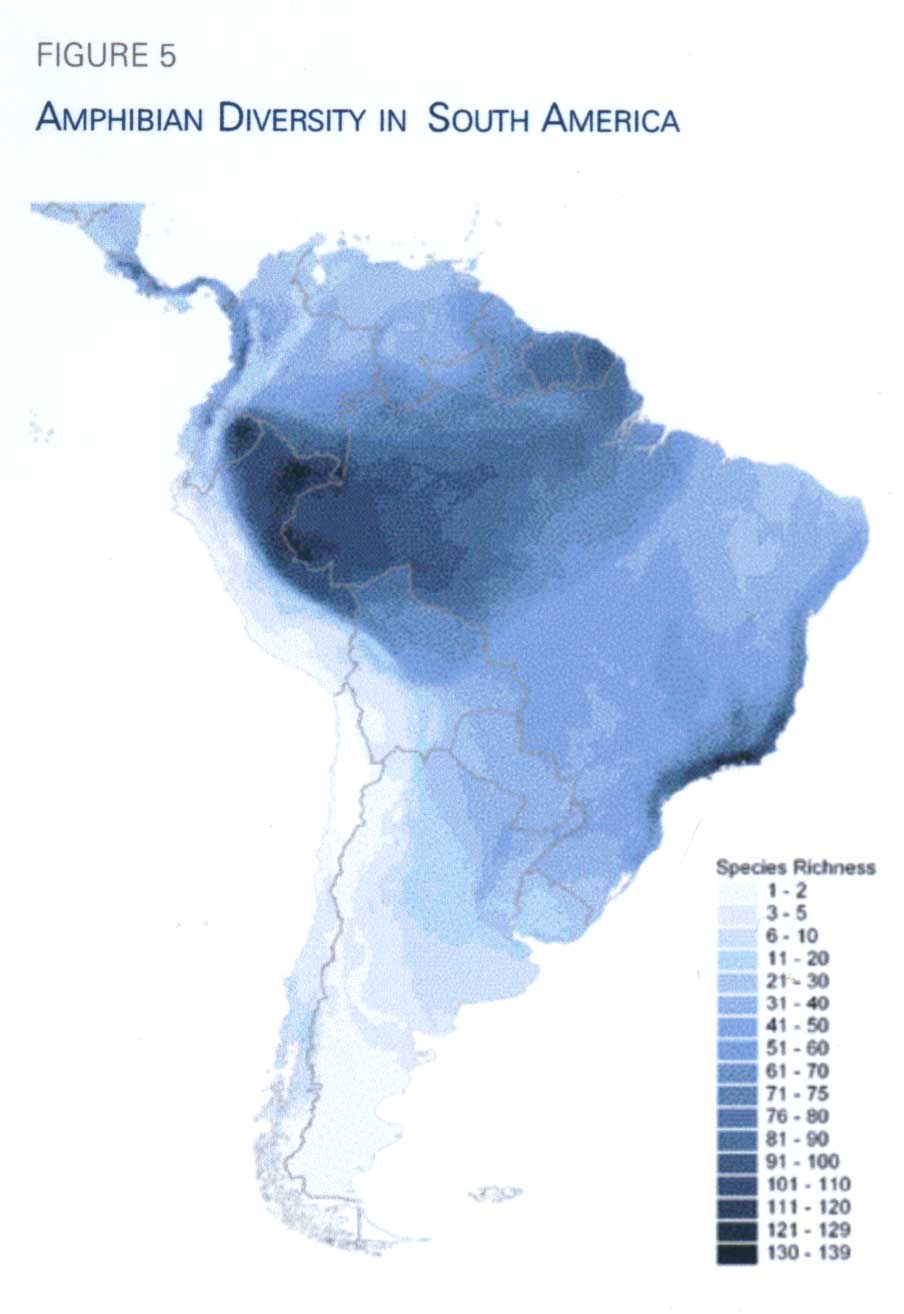 Yasuni Diversity Map Amphibian